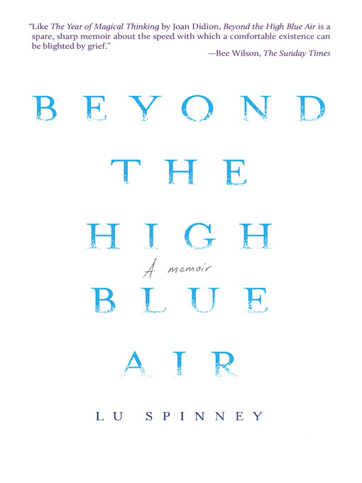 Title details for Beyond the High Blue Air by Lu Spinney - Available